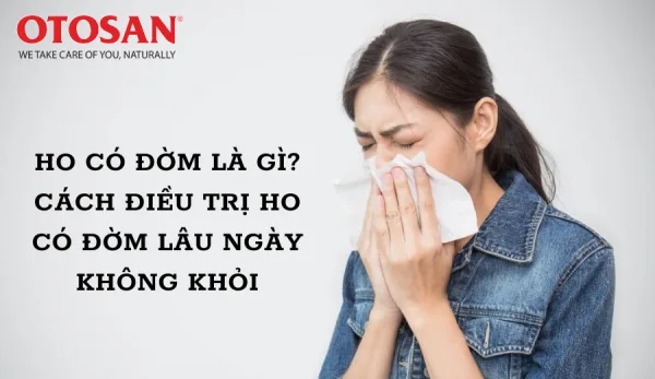 HO CÓ ĐỜM LÀ GÌ? CÁCH ĐIỀU TRỊ HO CÓ ĐỜM LÂU NGÀY KHÔNG KHỎI